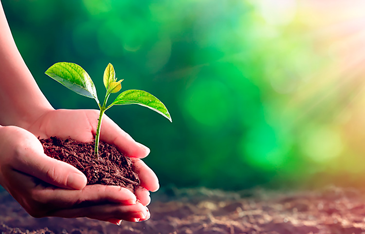 ���Ź���V9��(�й�)���޹�˾����