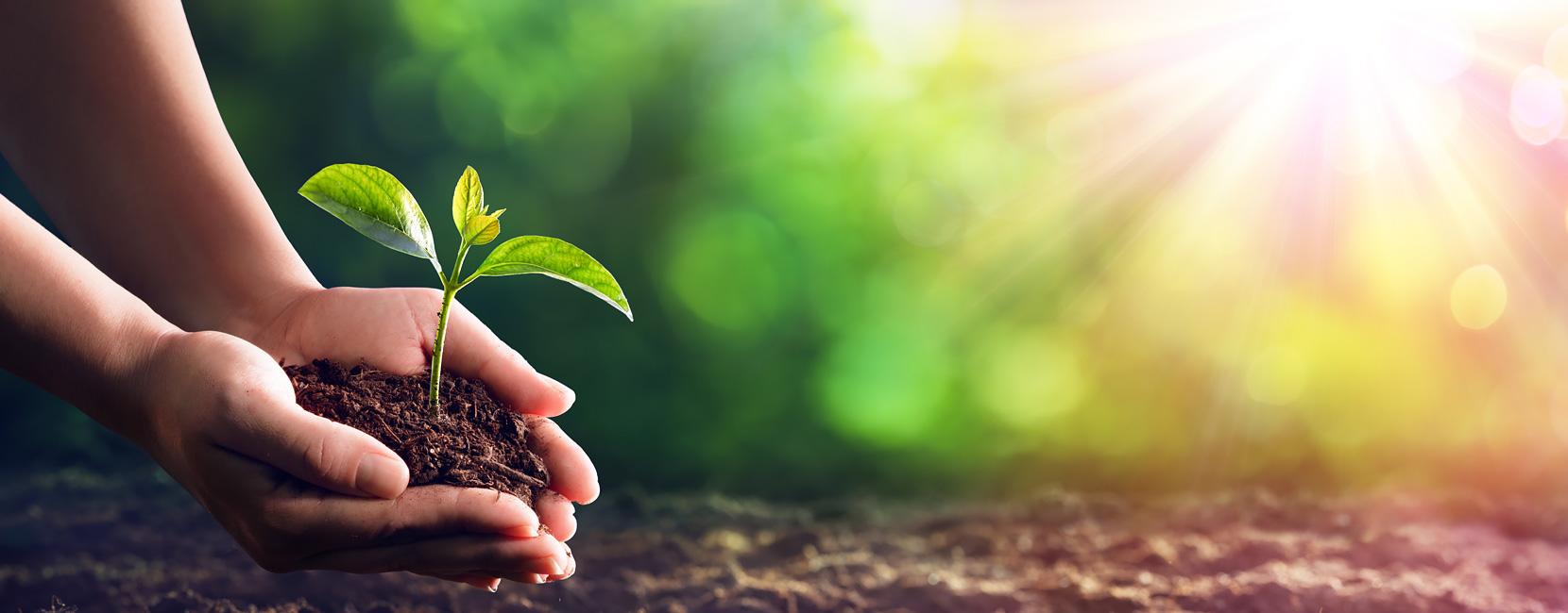 ���Ź���V9��(�й�)���޹�˾����